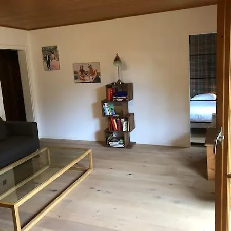 In The Location Of Rougemont,gstaad Rougemont