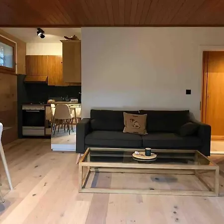 In The Location Of Rougemont,gstaad