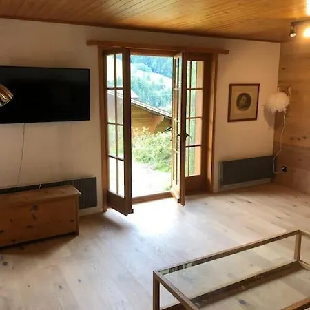 In The Location Of Rougemont,gstaad *